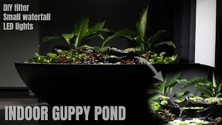 HOW TO INDOOR GUPPY POND  The Making Of  Step By Step LED LightsDIY Filter And Small Waterfall [upl. by Aenert]