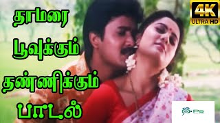 Thamarai Poovukum தாமரை பூவுக்கும் Sujatha Mohan Krishnachandar  H D Love Song [upl. by Loveridge]