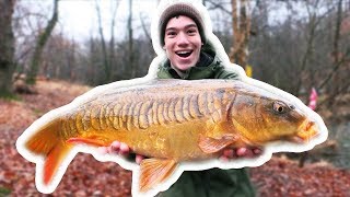 How To Catch Carp with CORN [upl. by Erapsag]