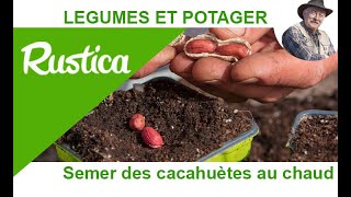 Semer et cultiver des cacahuètes [upl. by Alim]