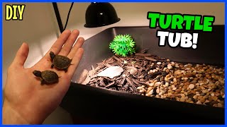 My New Baby Box Turtle Setup [upl. by Wilfred250]