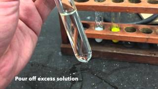 Anion Test  Sulfate Ions [upl. by Kwapong]