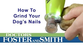 How to Grind Your Dogs Nails DrsFosterSmith [upl. by Aidam]