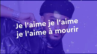 SLIMANE  Je Laime À Mourir Paroles Lyrics Video [upl. by Oluap]