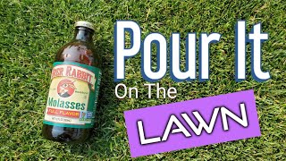 What Molasses Does For Your Lawn Grass Plants amp Soil [upl. by Baten]