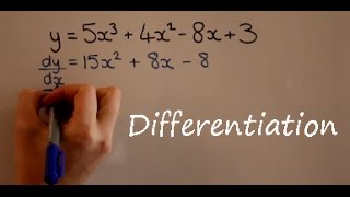 Differentiation [upl. by Rourke]