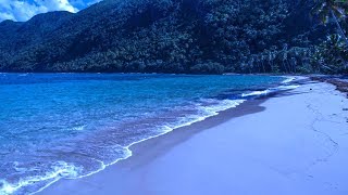 Carribean Ocean Waves at Night for Sleeping  Mix Them With Your Sleep Music [upl. by Eceirehs492]