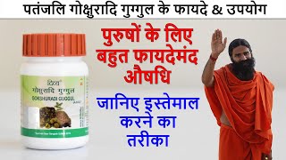 Patanjali Divya Gokshuradi Guggul Tablets Benefits amp Review in Hindi  फायदे और उपयोग [upl. by Arimas]