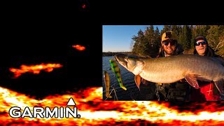 LiveScope Musky Jigging Garmin Panoptix [upl. by Leen]