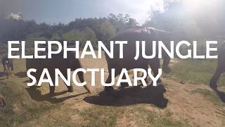 Elephant Jungle Sunctuary Chiang Mai Thailand [upl. by Suiratnauq]