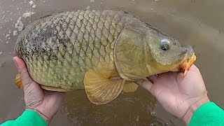 Keep It Simple Carp Fishing  Easy Method For Catching Carp [upl. by Ahaelam802]