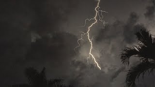 Tropical Thunderstorm amp Rain Sounds For Sleeping Relaxing  Rumbling Storm Equatorial Ambience [upl. by Nairda828]