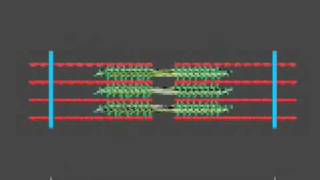 How a muscle contraction is signalled  Animation [upl. by Ylram809]