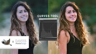 How to Use the Curves Tool in GIMP [upl. by Lemal]