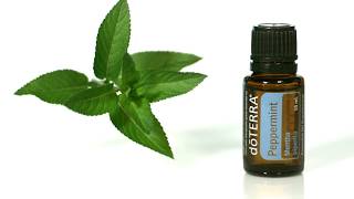 doTERRA® Peppermint Oil Uses and Benefits [upl. by Bitthia]