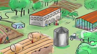 Improved rural urban linkages Building sustainable food systems [upl. by Bolten]