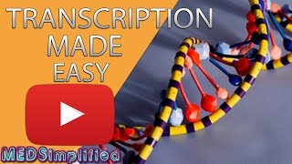 Transcription Made Easy From DNA to RNA 2019 [upl. by Ariaes359]