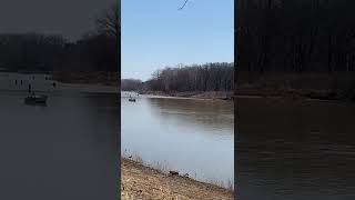 Maumee River Walleye Fish Run Maumee OHIO [upl. by Nabalas]