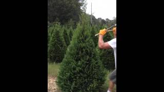 Christmas tree trimming  TwoHand [upl. by Jeremy349]