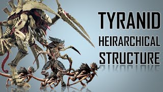 13 Ranks in a Tyranid Hierarchy Warhammer 40K [upl. by Shuping]