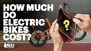 How Much do Electric Bikes Cost [upl. by Idur777]