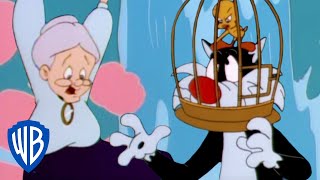 Looney Tunes  Sylvester Saves Granny  WB Kids [upl. by Silin]