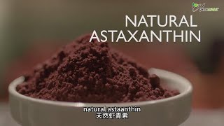 Why choose ASTAREAL astaxanthin produced AstaReal 雨生红球藻虾青素是如何生产出来？有何不同？🤔 [upl. by Felicdad]