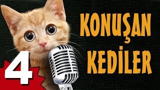 Konuşan Kediler 4  En Komik Kedi Videoları [upl. by Bourne688]