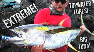 Extreme Lure Fishing for Giant Tuna from the shore  TAFishing [upl. by Betsey]