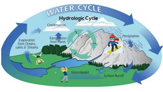 The water hydrologic cycle [upl. by Acceber]