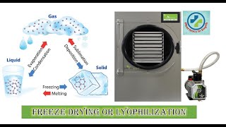 Freeze drying or Lyophilization in depth [upl. by Ellett308]