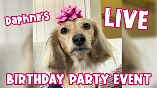 Daphne Turns 2  LIVE Birthday Party Event 🎉 [upl. by Hawger9]