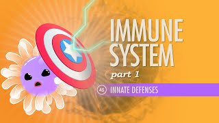 Immune System Part 1 Crash Course Anatomy amp Physiology 45 [upl. by Cowan]