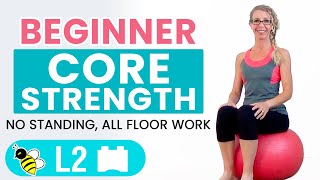 BEGINNER CORE  15 Minute STABILITY BALL Workout for BEGINNERS [upl. by Cutlor]