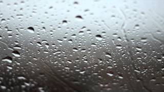 Rainy Day Background Video  No Sound [upl. by Anne-Corinne]