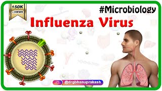 Influenza Virus Microbiology Animation [upl. by Aratas]