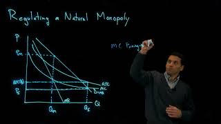 Regulating a Natural Monopoly [upl. by Loeb]