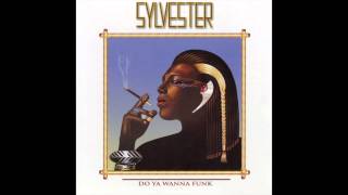 Sylvester  Dont Stop [upl. by Ahsekyw]