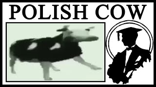 Why Dancing Polish Cow Is Great [upl. by Mirth]