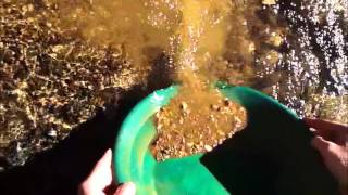 Gold Panning Like a Pro with Dan Hurd [upl. by Nodab]