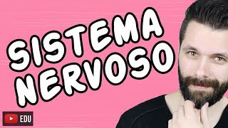 SISTEMA NERVOSO  FISIOLOGIA  Aula  Biologia com Samuel Cunha [upl. by Eeliram]