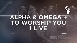 Alpha amp Omega  To Worship You I Live  Alton Eugene  Bethel Worship [upl. by Yaya415]