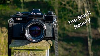 The Canon EF with the FD 50mm f14 lens review and lens test wide open [upl. by Ecadnarb]