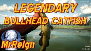 Red Dead Redemption 2  Hunting the Legendary Bullhead Catfish  Legendary Fish Location and Tactics [upl. by Fendig]