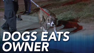 Family members find dogs eating owners body inside Philadelphia home [upl. by Eliam676]