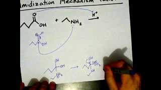 How to Make Amides Mechanism [upl. by Atinus]