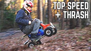 10HP Mini Quad THRASH  Top Speed Test [upl. by Milstone]