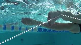 Freestyle Swimming Technique  Kick [upl. by Sheryl520]