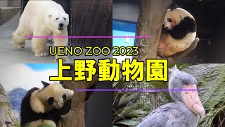 【上野動物園 UENO ZOO 2023】 [upl. by Jacinta]