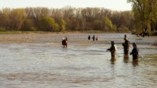 Maumee River Walleye Run Fishing Locations [upl. by Ardnek]